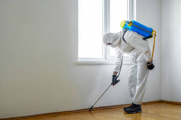 Best Cockroach Control Services  in Waverly, IA