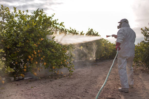 Best Exterminator Services  in Waverly, IA