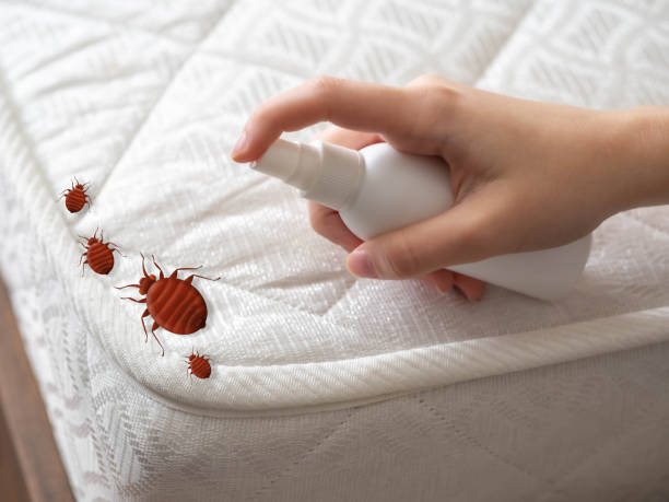 Best Emergency Pest Control  in Waverly, IA