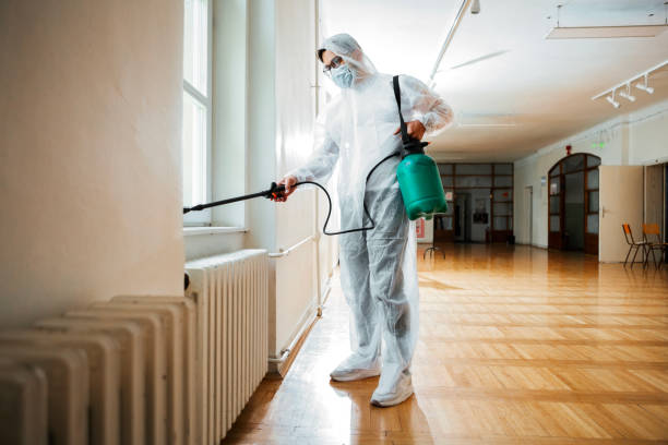 Best Ant Control Services  in Waverly, IA